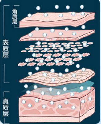 透皮吸收实验助力高端功效化妆品研发 - 大连科翔科技
